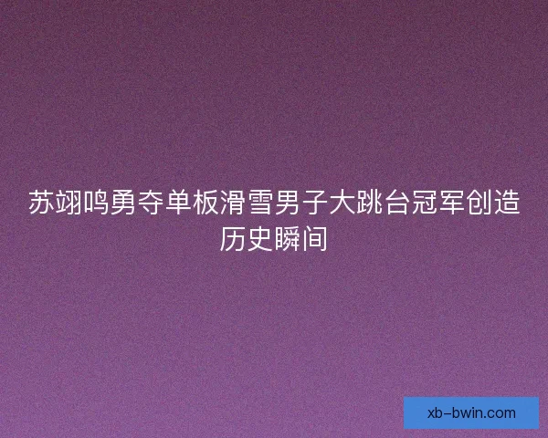 苏翊鸣勇夺单板滑雪男子大跳台冠军创造历史瞬间 苏翊鸣勇夺单板滑雪男子大跳台冠军创造历史瞬间