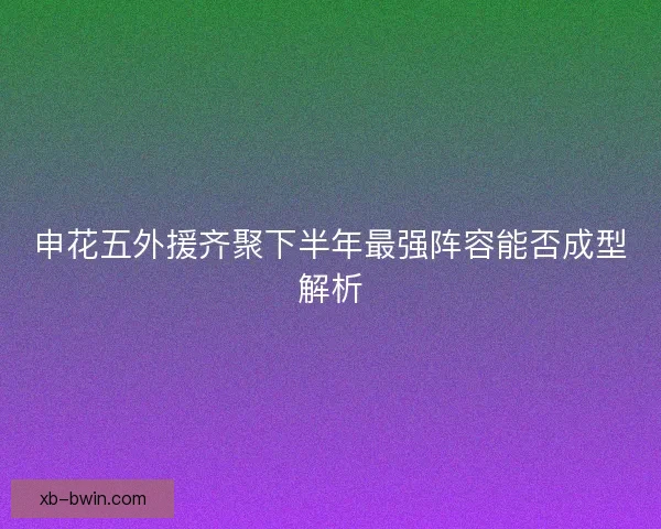 申花五外援齐聚下半年最强阵容能否成型解析