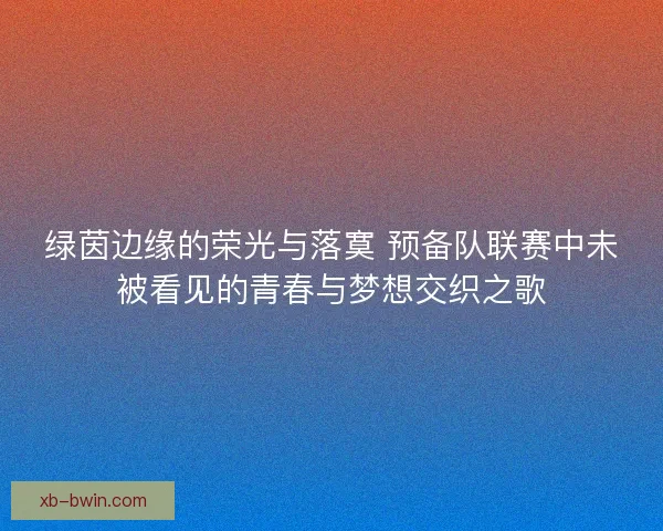 绿茵边缘的荣光与落寞 预备队联赛中未被看见的青春与梦想交织之歌 绿茵边缘的荣光与落寞 预备队联赛中未被看见的青春与梦想交织之歌