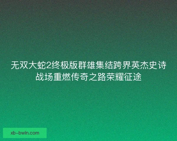 无双大蛇2终极版群雄集结跨界英杰史诗战场重燃传奇之路荣耀征途